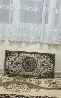 پشتی