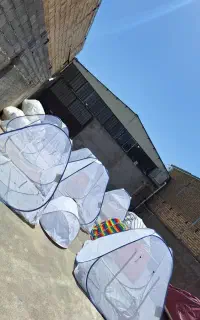 پشه بندوچادر  مسافرتی عمده و خرده فروشی