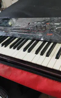 ارگpax4