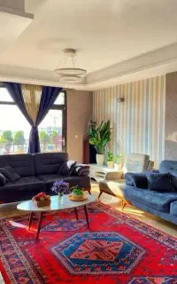 نیروی خدماتی برای منزل