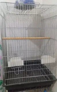 قفس پرنده