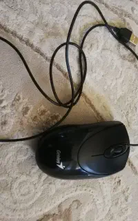 موس جنیوس