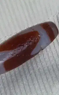 مروارید طلا (ساسانیان)