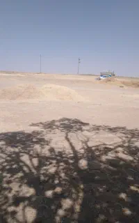 خریدار کاه نخود