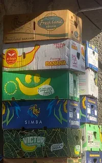 نرجه ۳۰ عدد کارتون موز