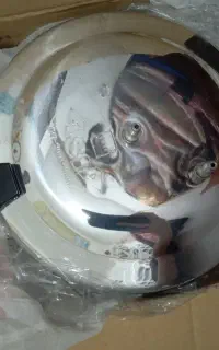 زودپزنوباکارتن هشت تاده نفره