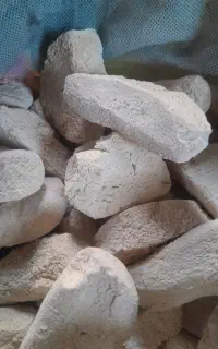 کشک گوسفندی