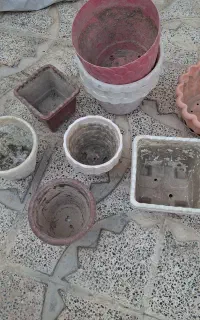 گلدان