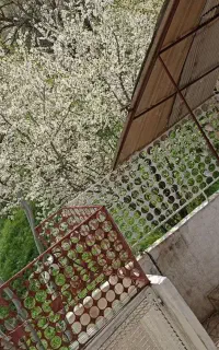 طالقانگردی