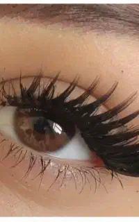 آموزش صفر تا صد کاشت هیدن مژه