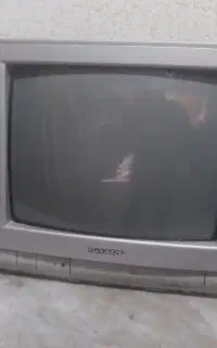 تلوزیون