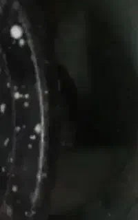 گاز پیکنیک سالم با سر و شعله پخش کن