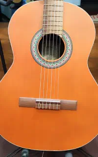 گیتار کلاسیک پارسی P40،نو،فولسایز 4/4