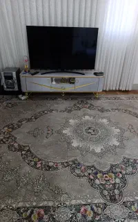 تلویزیون الجی۵۵ اینج
