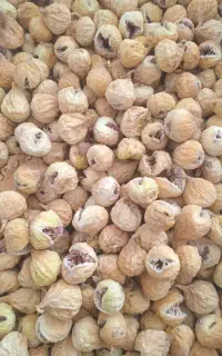 فروش انجیر درجه یک