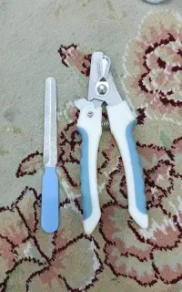 ناخن گیر حیوانات