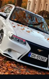 صافکاری جزئی،نقاشی کلی.تخفیف پای کار