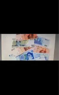 همراهی برای رشد و مشارکت سرمایه گذاری کسب وکارتان