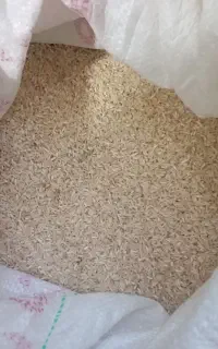 خرده برنج فجر ترو تازه اسیاب شده