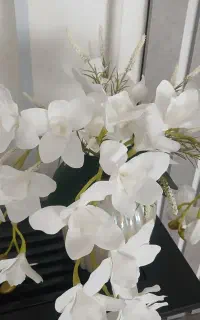 گل و گلدان