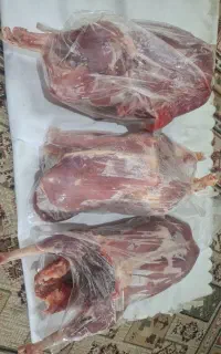 غاز پاک شده