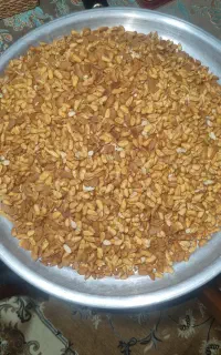 مغز بادام محب و بومی امسال