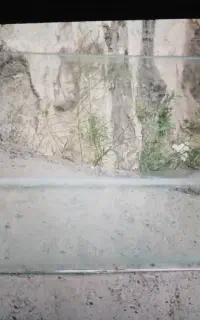 اکواریوم