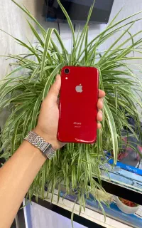 ایفون XR حافظه ۶۴ گیگ بایت تک سیم نقد و اقساط