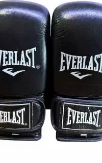 فروش دستکش Everlast