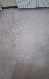 پالاز موکت