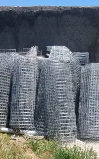 قفصه مرغ تخم گزار