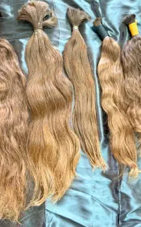 گیسو بلند