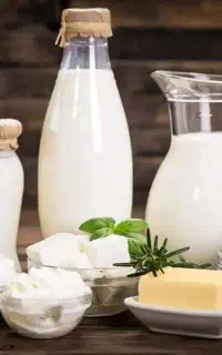 لبنیات ترانه