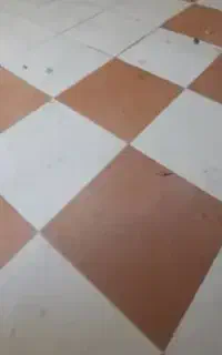 منشی مجازی خانم برای کار املاک