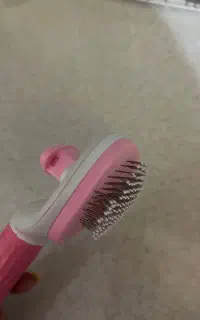 برس سگ یا گربه