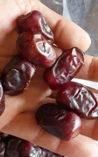 خرما و شیره جات خالص (عمده)مستقیم