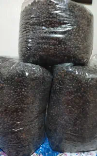پخش میکس قهوه