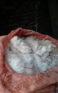 پشم گوسفند