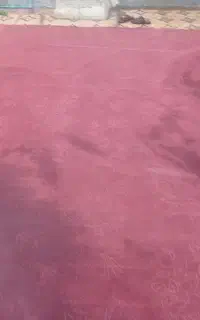 موکت