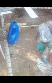 توجه توجه..حراج پشیمون نمیشی .فروش تخت فلزی .
