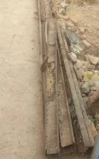 شاخه اهن