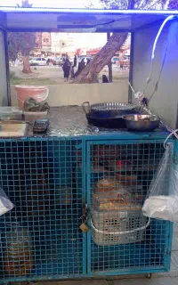 گاری فلافلی