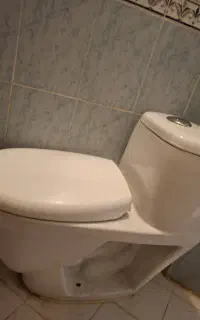 توالت فرنگی