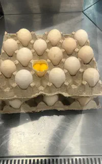 تخم مرغ محلی دو زرده