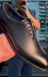 کفش مجلسی