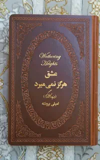 عشق هرگز نمی‌میرد