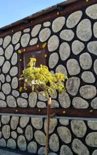 سیمانکاری طرح سنگ طرح چوب