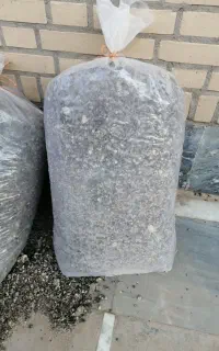 کود کبوتر وحشی (کفتر چاهی)