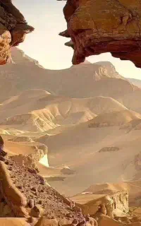 جذب نیروی کار آقا در تور مسافرتی