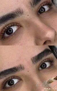 میکرو هلندی  ۱ میلیون هدیه+ فیشال
